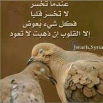 Abu Alfaedh