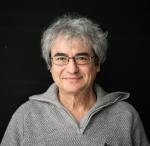 كارلو روفيللي