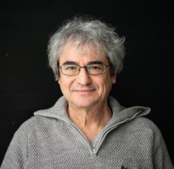 كارلو روفيللي