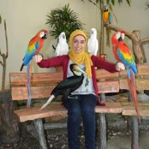 Eman W.ElZomor