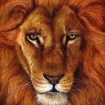 Islam Khalid