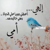 Asmaa Nona