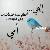 لا يوجد صوره