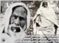 سلف الأمة
