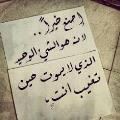 rasha assir