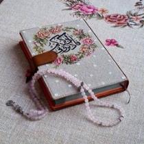 الاء على