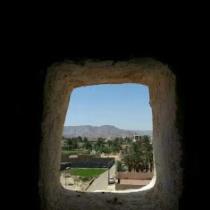 زياد الحربي