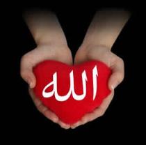 ryoony.alshekh