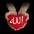 لا يوجد صوره