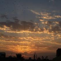 Azza Elakad