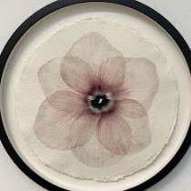 فاطمه الشمري