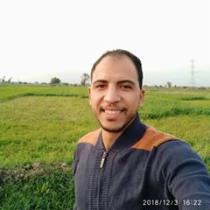 Sayed Salah