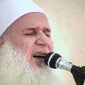 محمد سعيد سعيد
