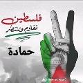 حماده الشنتورى