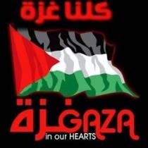 Zineb Gmr