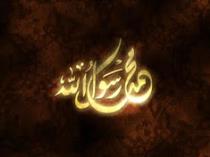 Zeinab Sharaf