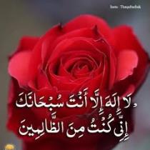 عبدالحكيم رياض
