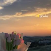 Bushra Battat
