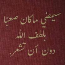 ggesxu40