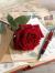 لا يوجد صوره