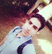 Mohamed El Sayed