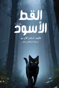القط الأسود