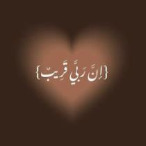 شموخ يماني