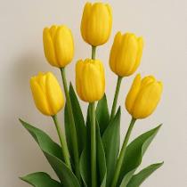 ايات علاء عبدالحسين