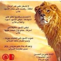 امير الكلمات