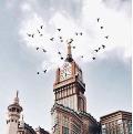 دنو الدببخي