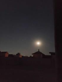 تيسير سليمان