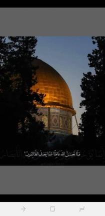 أم كلثوم المصطفي