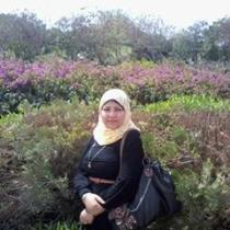 Omnia Amin