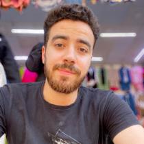 Hossam K . Elfoly