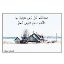 يوسف المحمد