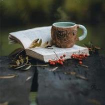 آيات مراد