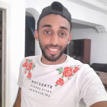Ramzi DRIDI