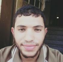 أنور محمد طيرر