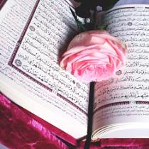تلاوات القرآن الكريم