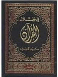 في ظلال القرآن - سيد قطب