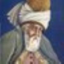 andulis Arabian