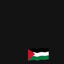 نزار البيومى