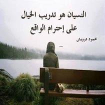 نوح صالح