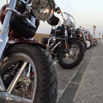 Rayed AlFaraj