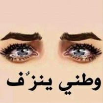 لا يوجد صوره