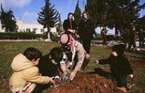 لميس حسين ابو حسان