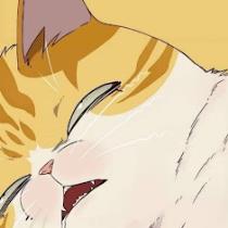 Nayo Chan