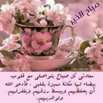 رضا رضا