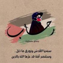 Rehab Mohammed