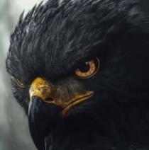 Mohammad Salah Salim